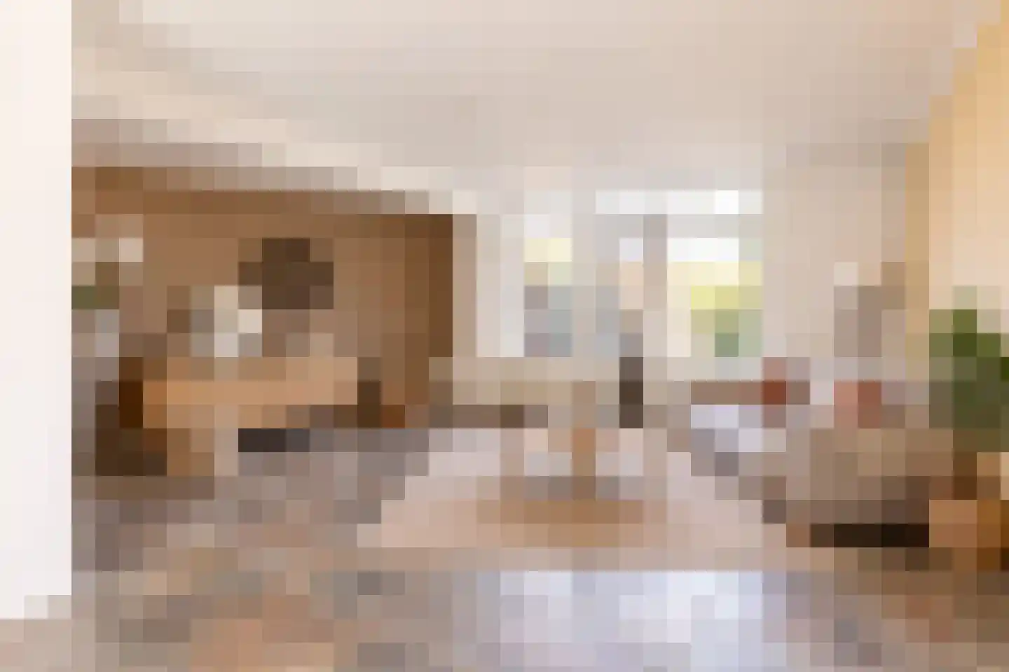 Sterremos 9 Nieuwerkerk aan den IJssel thumbnail 12