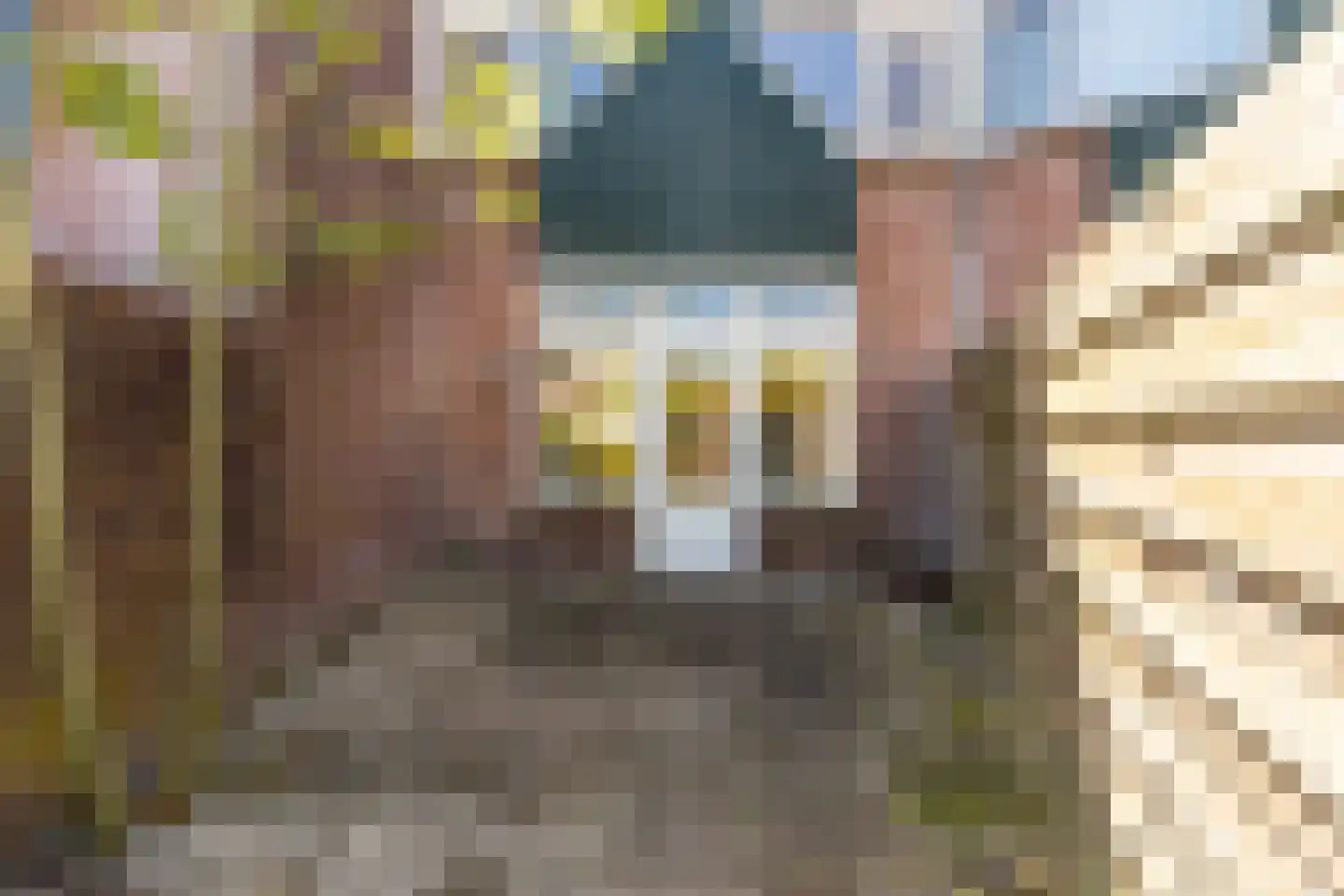 Sterremos 9 Nieuwerkerk aan den IJssel thumbnail 14