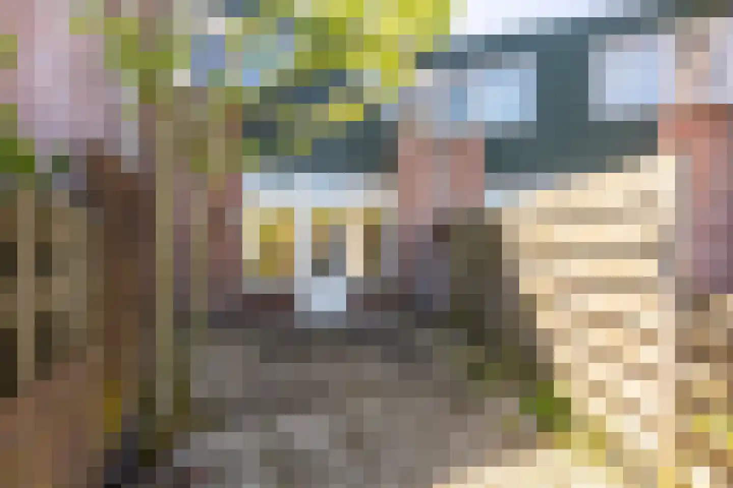 Sterremos 9 Nieuwerkerk aan den IJssel thumbnail 15
