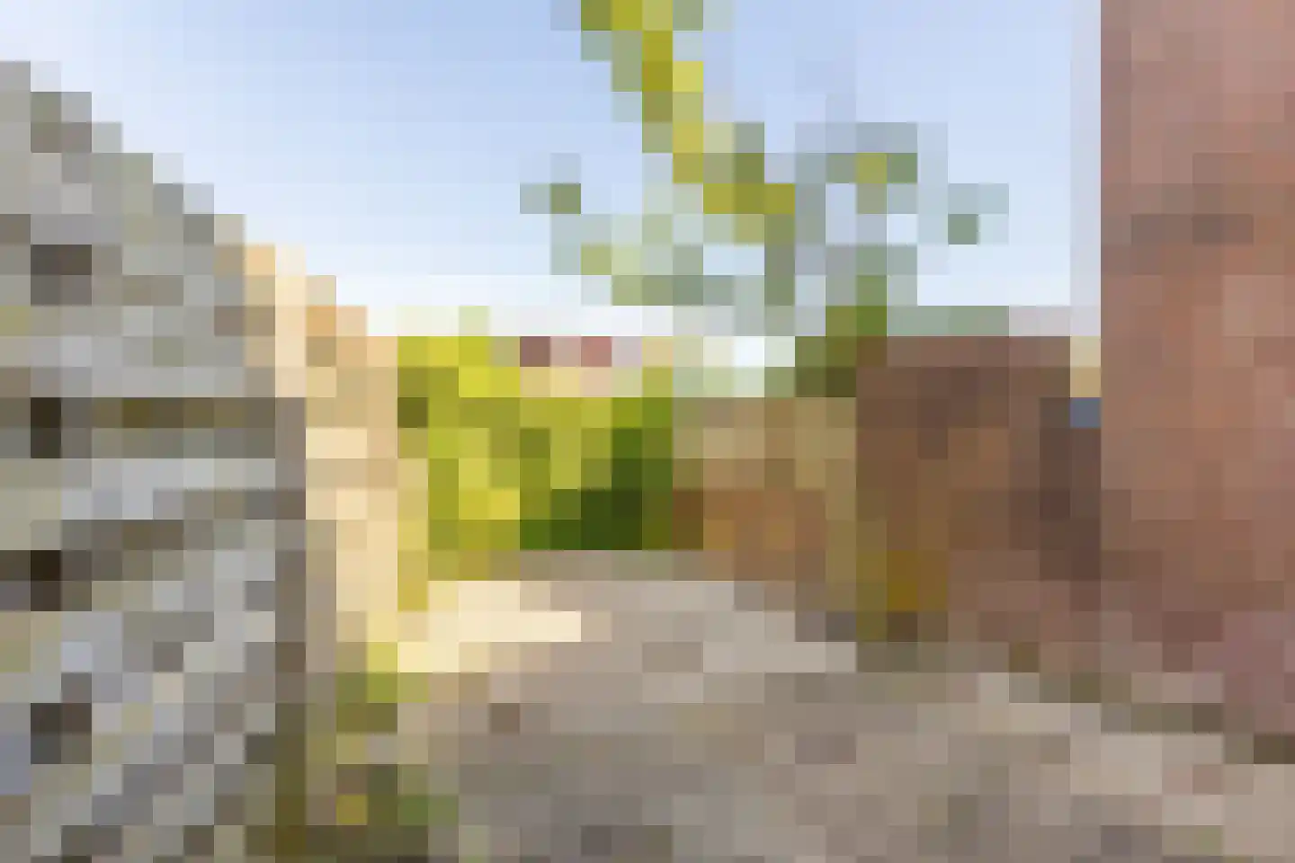 Sterremos 9 Nieuwerkerk aan den IJssel thumbnail 16