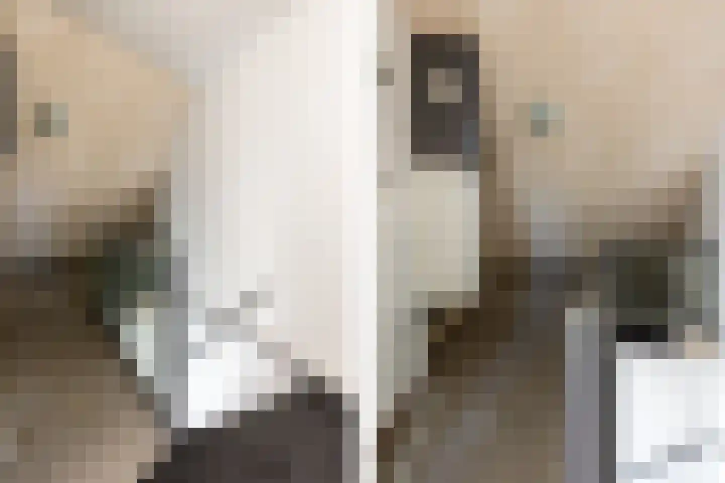 Sterremos 9 Nieuwerkerk aan den IJssel thumbnail 33