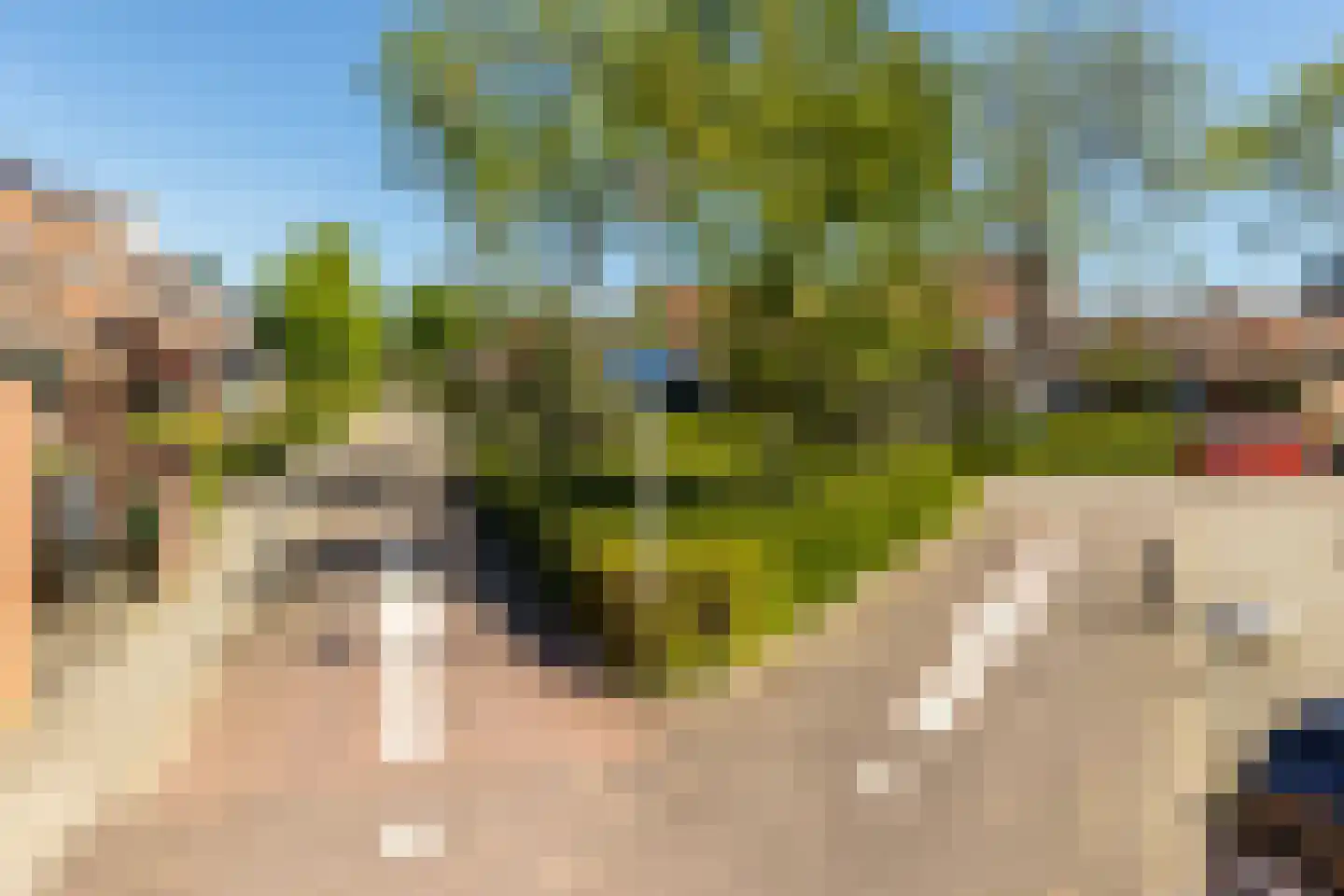 Sterremos 9 Nieuwerkerk aan den IJssel thumbnail 39
