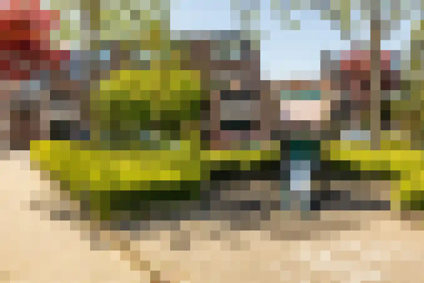 Sterremos 9 Nieuwerkerk aan den IJssel thumbnail 40