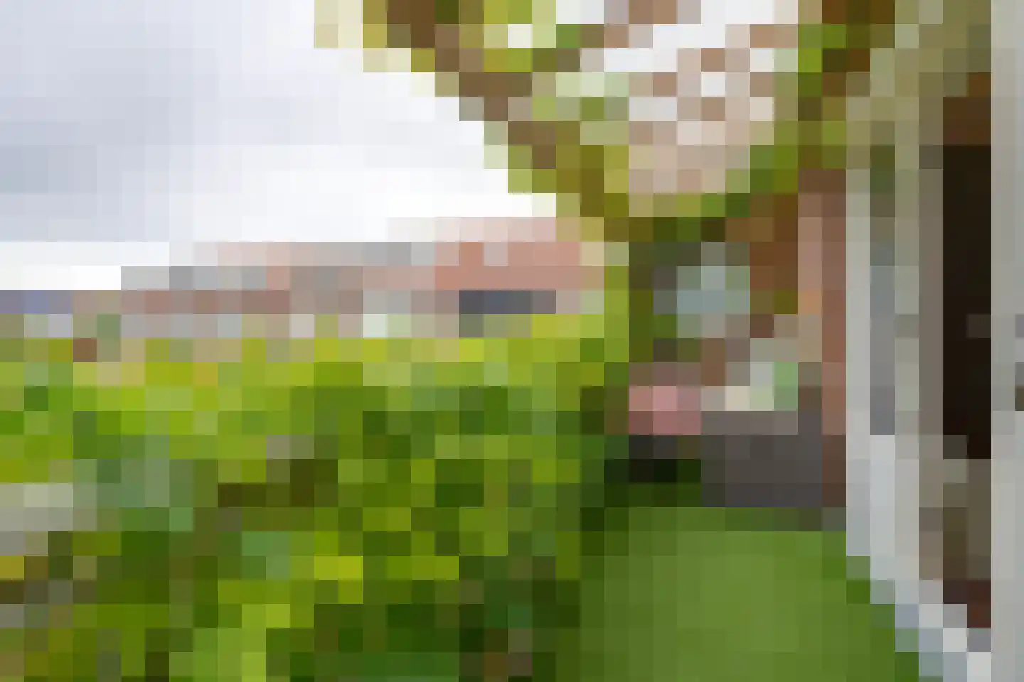 Sterremosstraat 24 Purmerend thumbnail 36