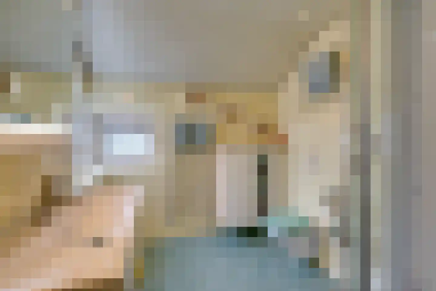 Sterremosstraat 24 Purmerend thumbnail 39