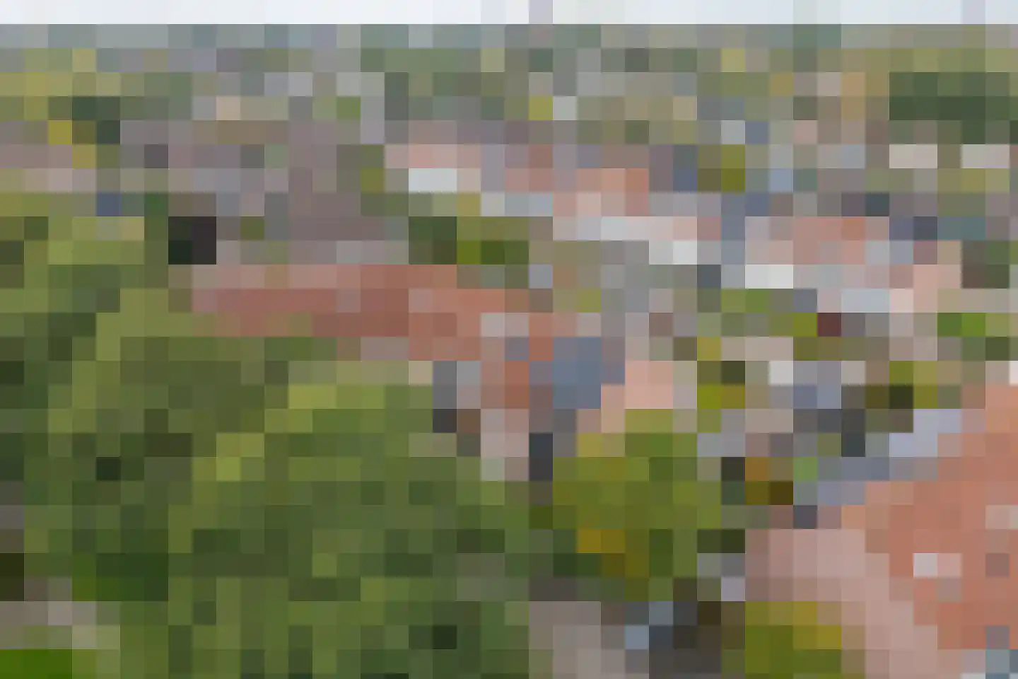 Sterremosstraat 24 Purmerend thumbnail 4