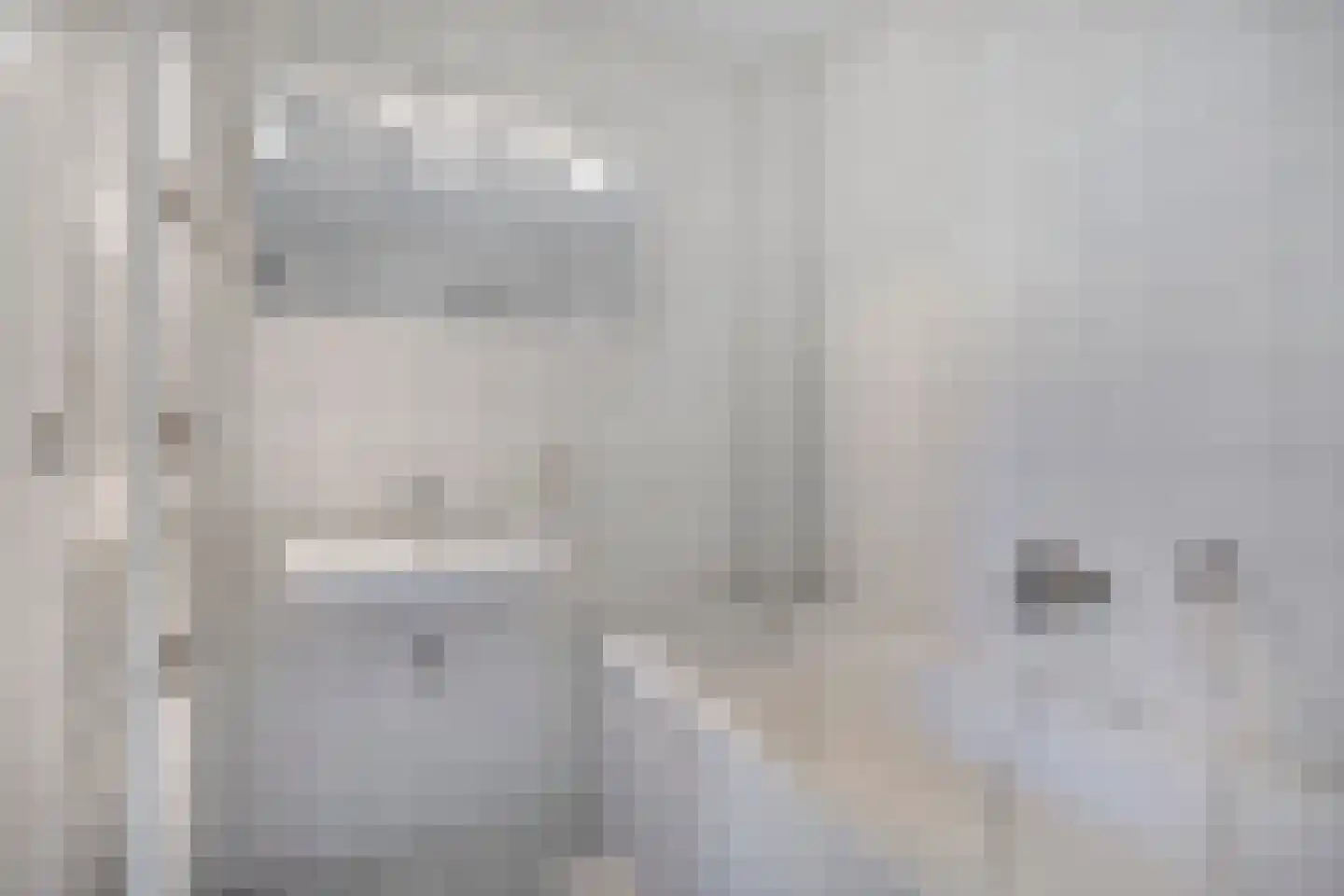 Sterremuur 1 Venray thumbnail 21