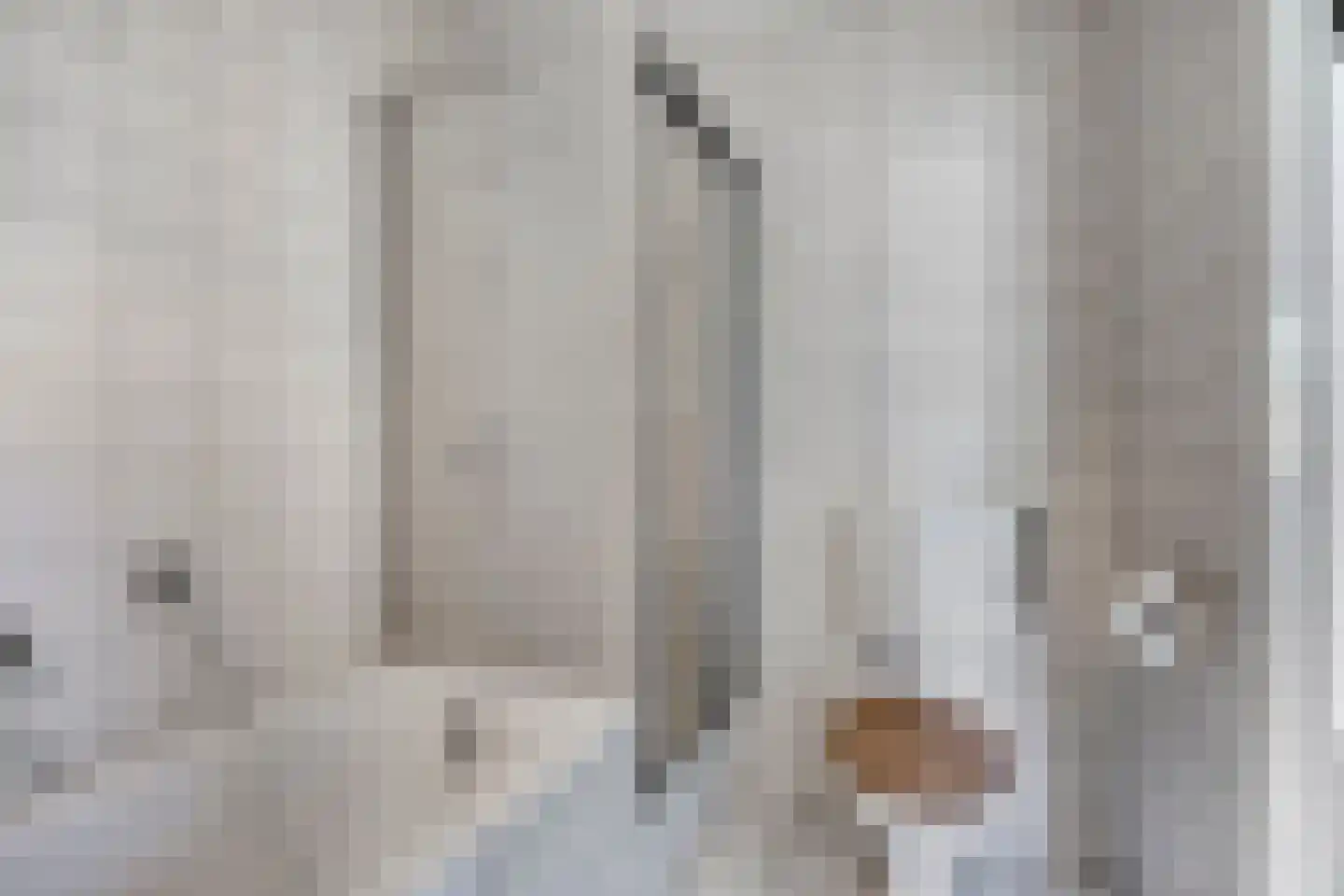 Sterremuur 1 Venray thumbnail 22