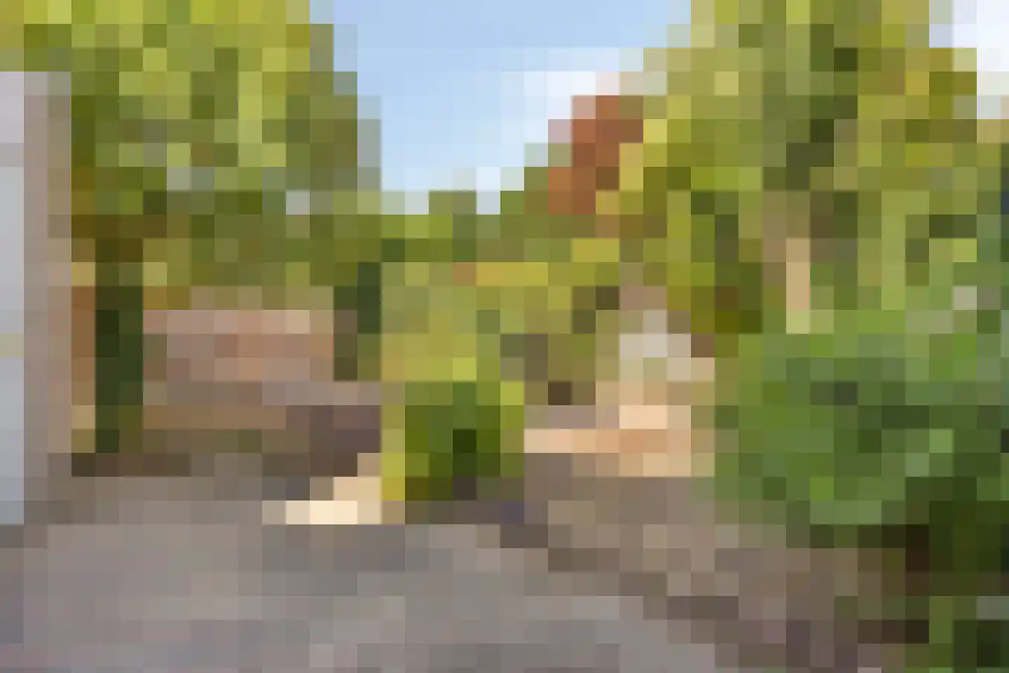 Sterremuur 1 Venray thumbnail 30