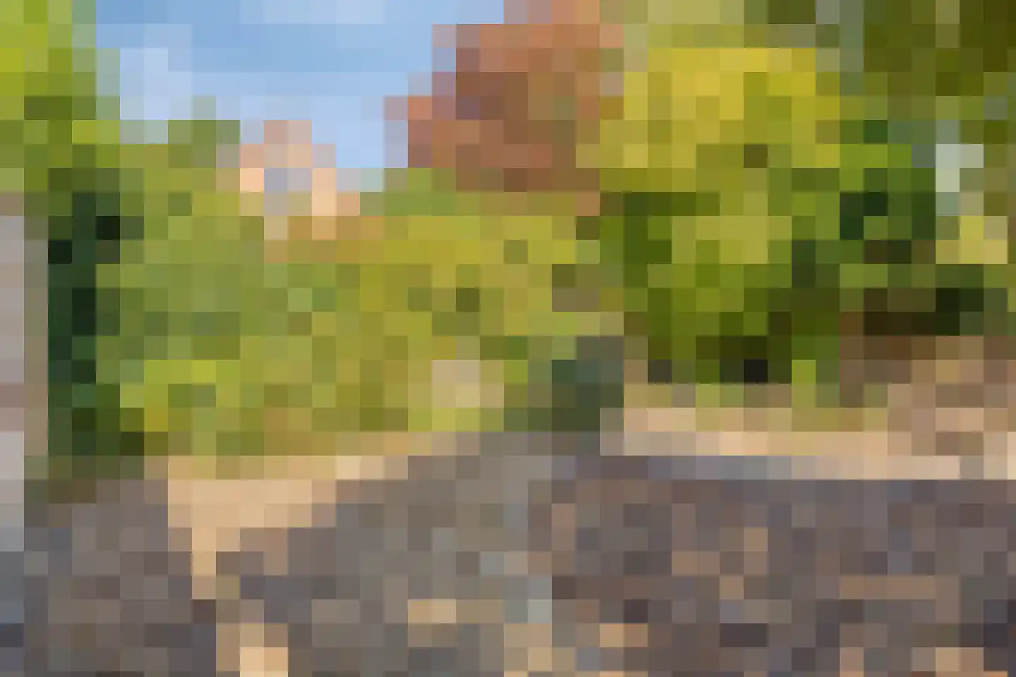 Sterremuur 1 Venray thumbnail 31