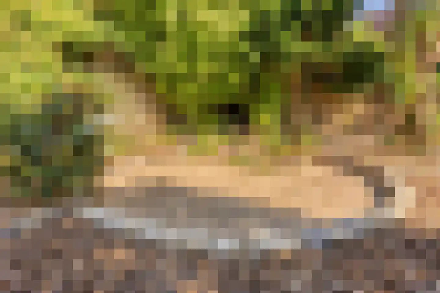 Sterremuur 1 Venray thumbnail 32
