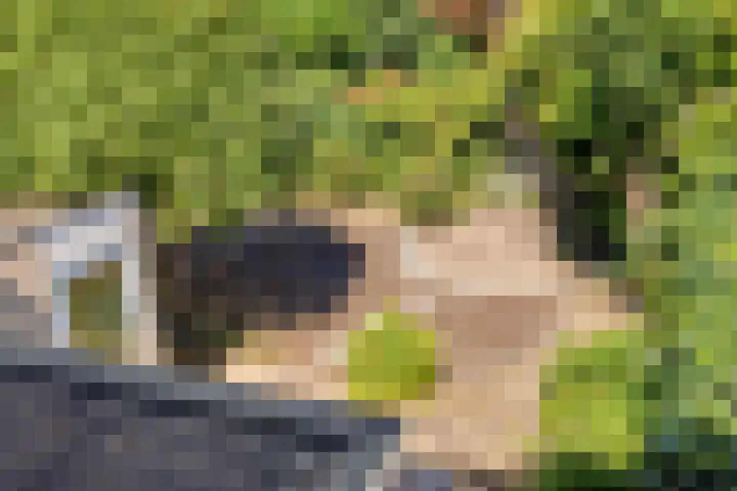Sterremuur 1 Venray thumbnail 33