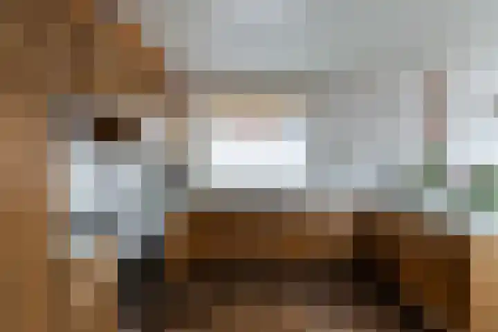 Sterremuurplaats 4 Bleskensgraaf ca thumbnail 11