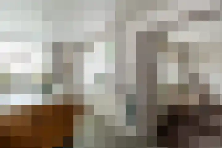 Sterremuurplaats 4 Bleskensgraaf ca thumbnail 12