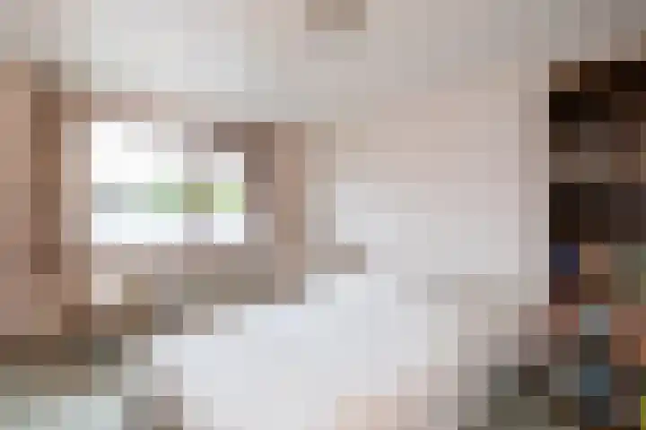 Sterremuurplaats 4 Bleskensgraaf ca thumbnail 14