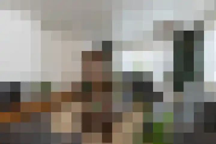 Sterremuurplaats 4 Bleskensgraaf ca foto 2