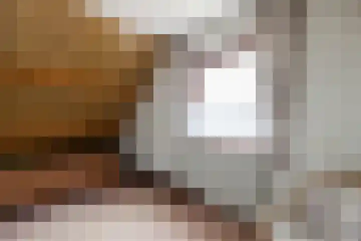 Sterremuurplaats 4 Bleskensgraaf ca thumbnail 21