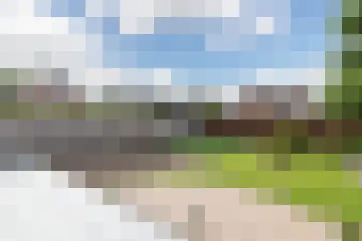 Sterremuurplaats 4 Bleskensgraaf ca thumbnail 25
