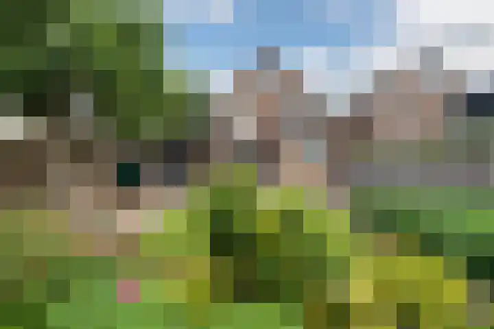 Sterremuurplaats 4 Bleskensgraaf ca thumbnail 28