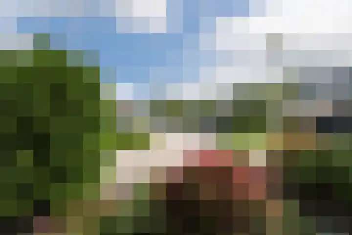 Sterremuurplaats 4 Bleskensgraaf ca thumbnail 29