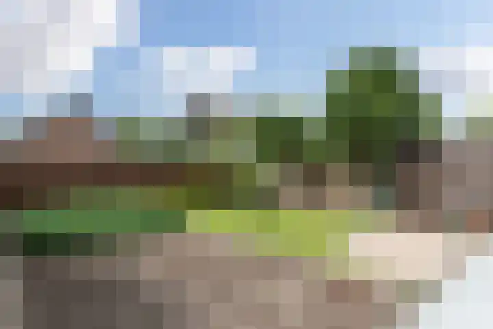 Sterremuurplaats 4 Bleskensgraaf ca foto 3