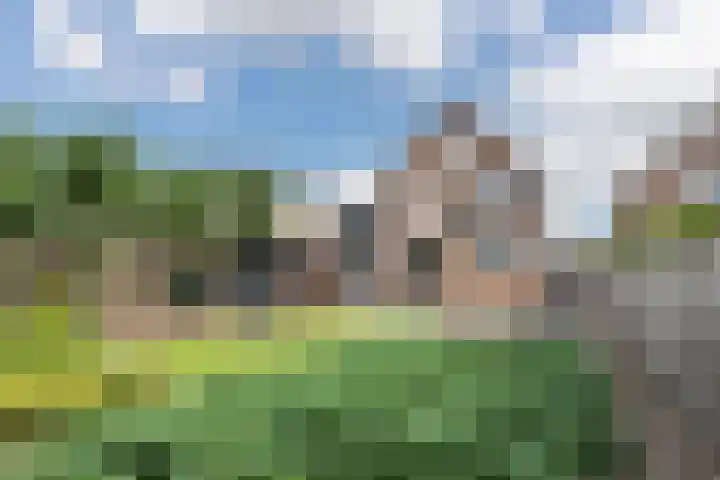 Sterremuurplaats 4 Bleskensgraaf ca thumbnail 4