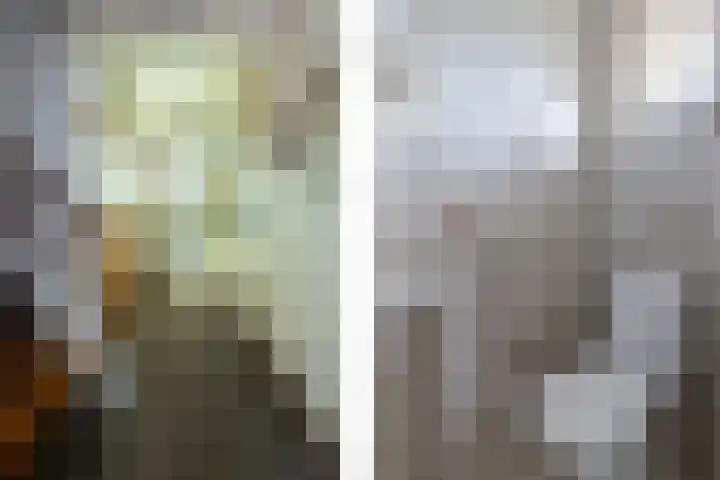 Sterremuurplaats 4 Bleskensgraaf ca thumbnail 6