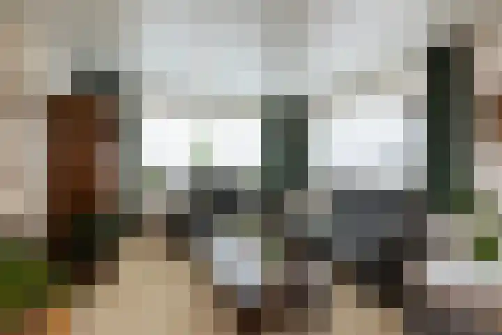 Sterremuurplaats 4 Bleskensgraaf ca thumbnail 7