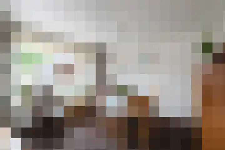 Sterremuurplaats 4 Bleskensgraaf ca thumbnail 9