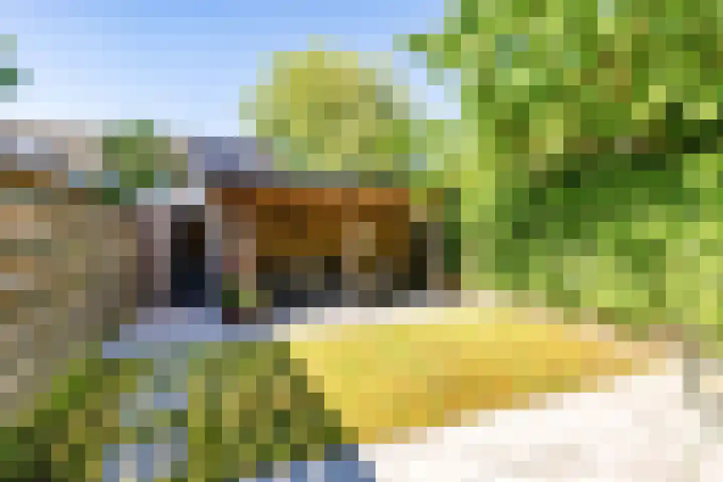 Sterremuurweg 16 Haren Gn thumbnail 19