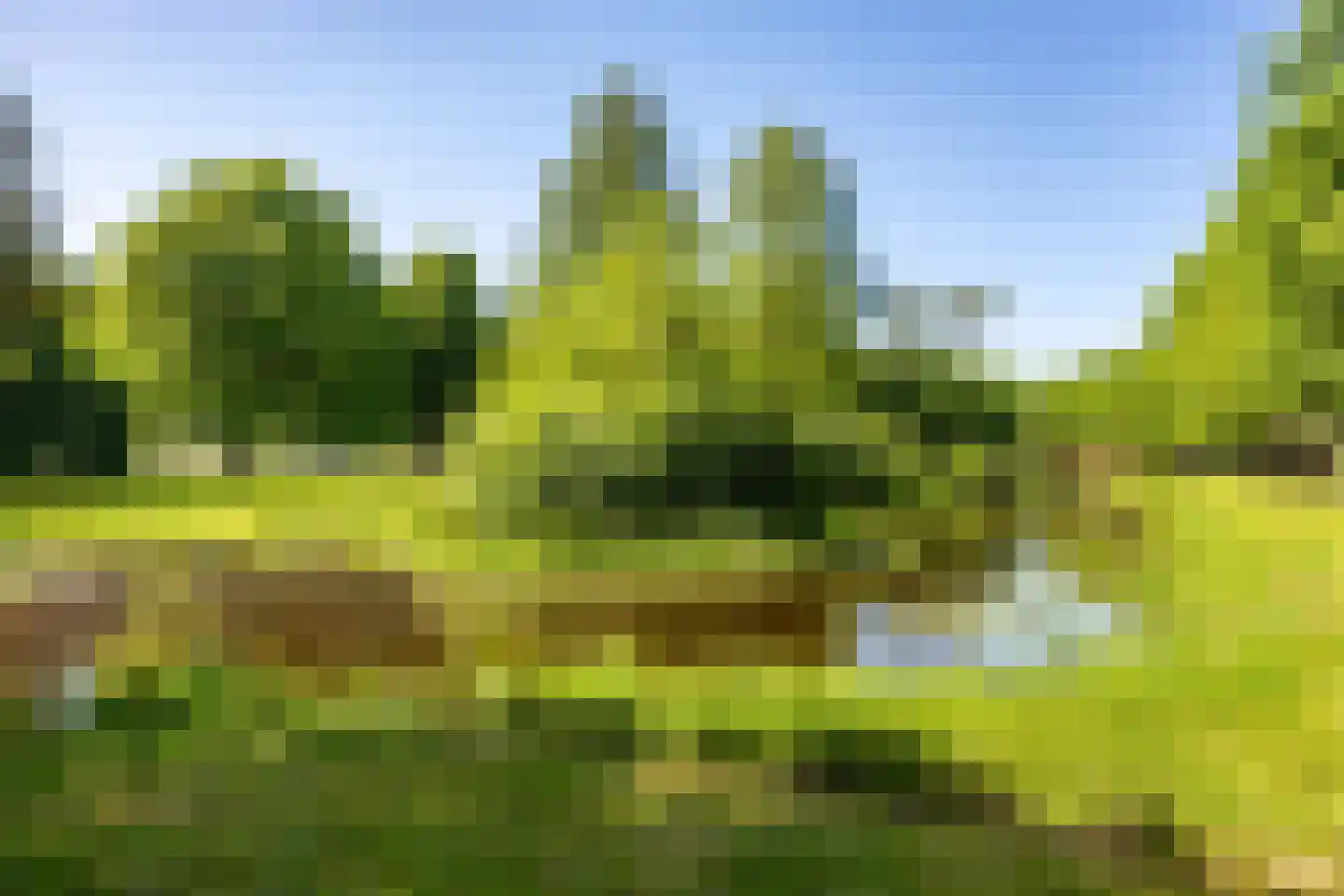 Sterremuurweg 16 Haren Gn thumbnail 37