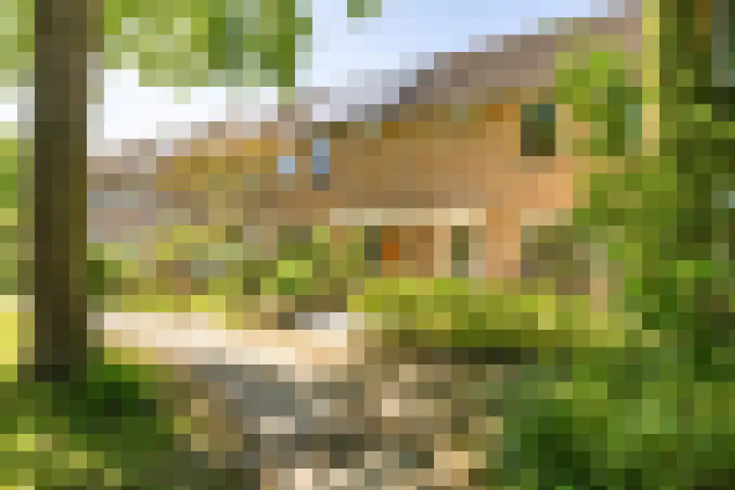 Sterremuurweg 16 Haren Gn thumbnail 5