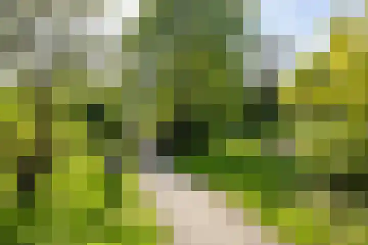 Sterremuurweg 20 Haren Gn thumbnail 18