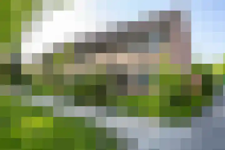 Sterremuurweg 20 Haren Gn thumbnail 4