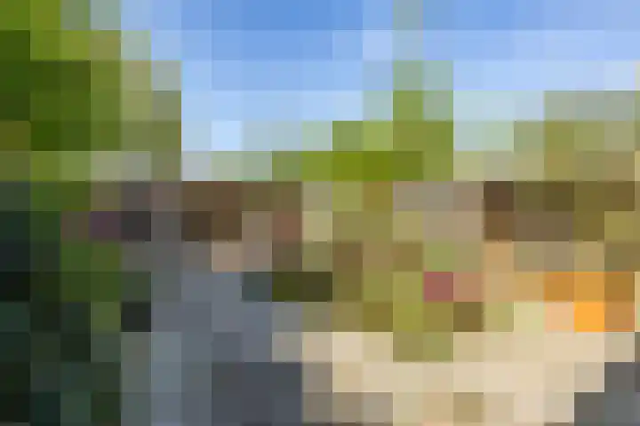 Sterremuurweg 20 Haren Gn thumbnail 5