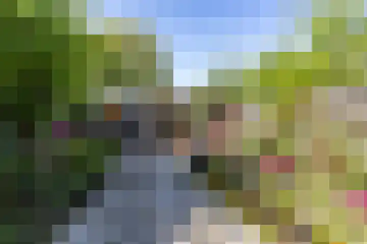 Sterremuurweg 20 Haren Gn thumbnail 6
