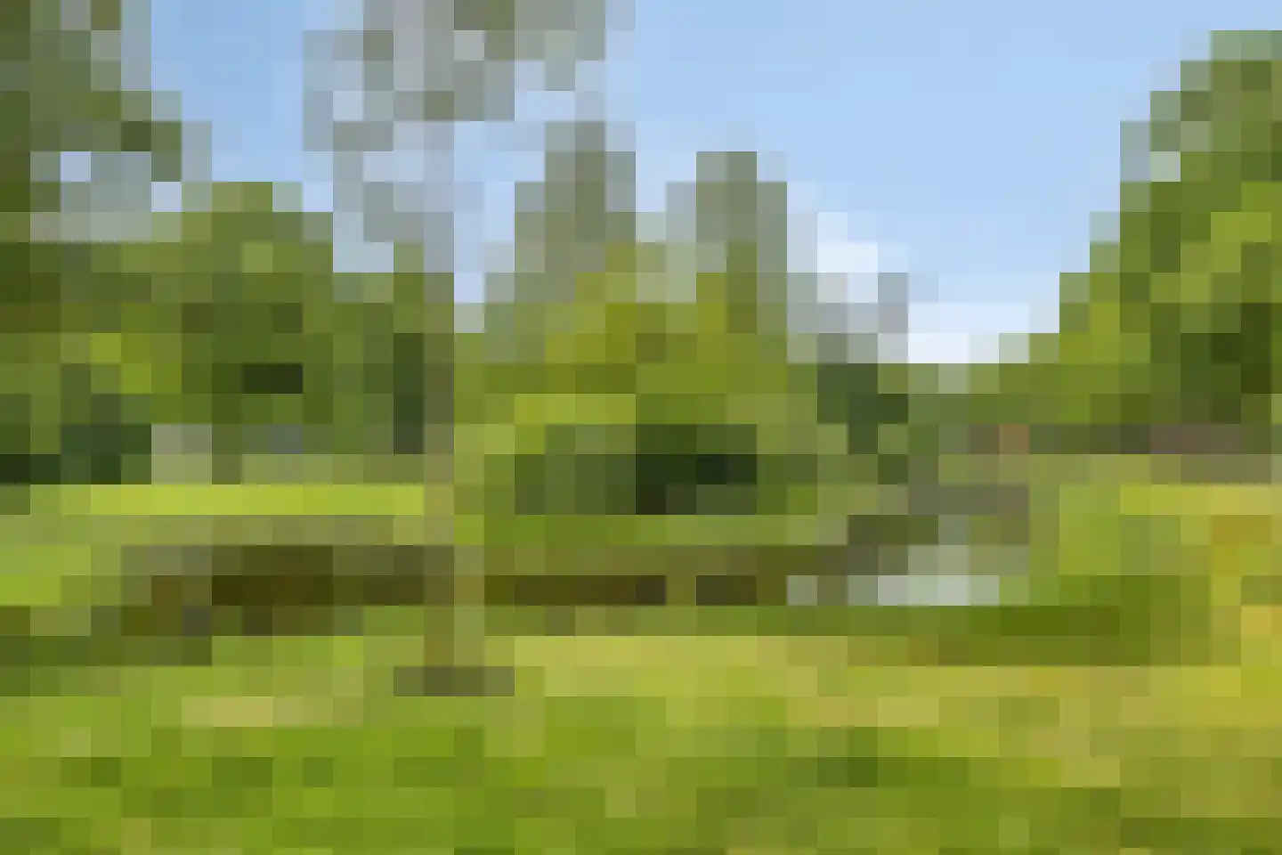 Sterremuurweg 29 Haren Gn thumbnail 44
