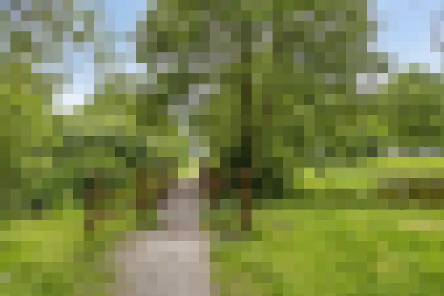 Sterremuurweg 29 Haren Gn thumbnail 45