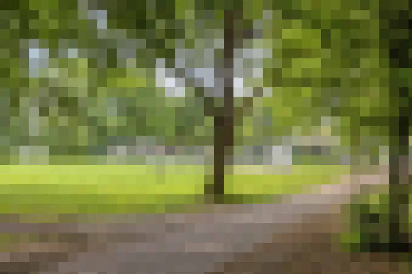 Sterremuurweg 29 Haren Gn thumbnail 46