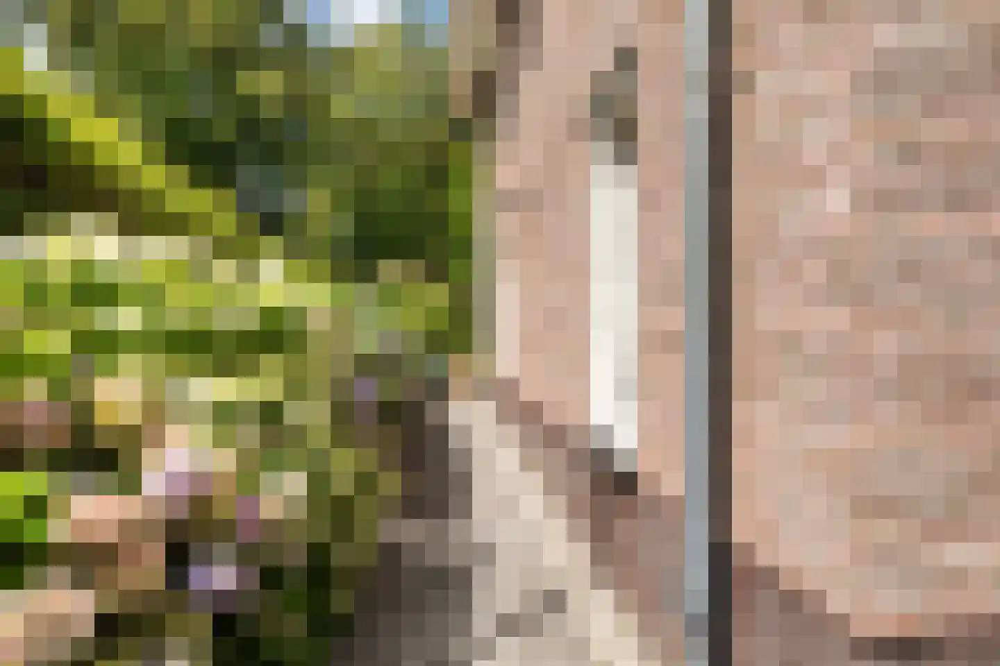 Sterrenberglaan 81 Huis ter Heide thumbnail 14