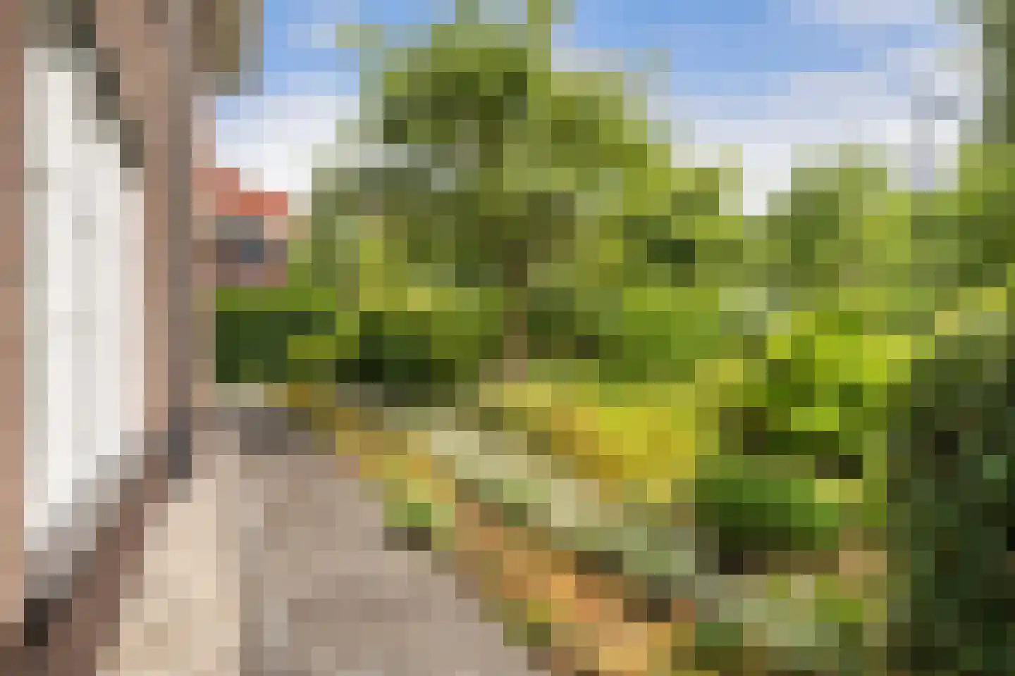 Sterrenberglaan 81 Huis ter Heide thumbnail 15
