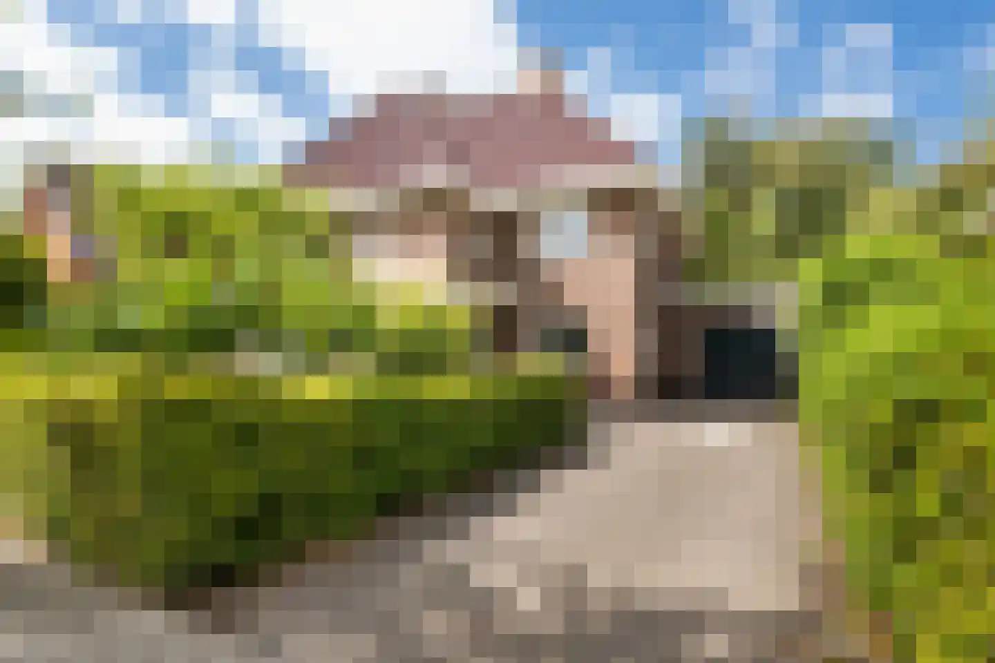 Sterrenberglaan 81 Huis ter Heide foto 2