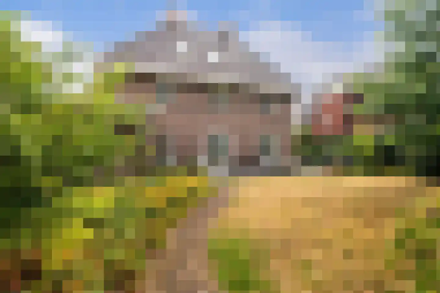 Sterrenberglaan 81 Huis ter Heide thumbnail 42