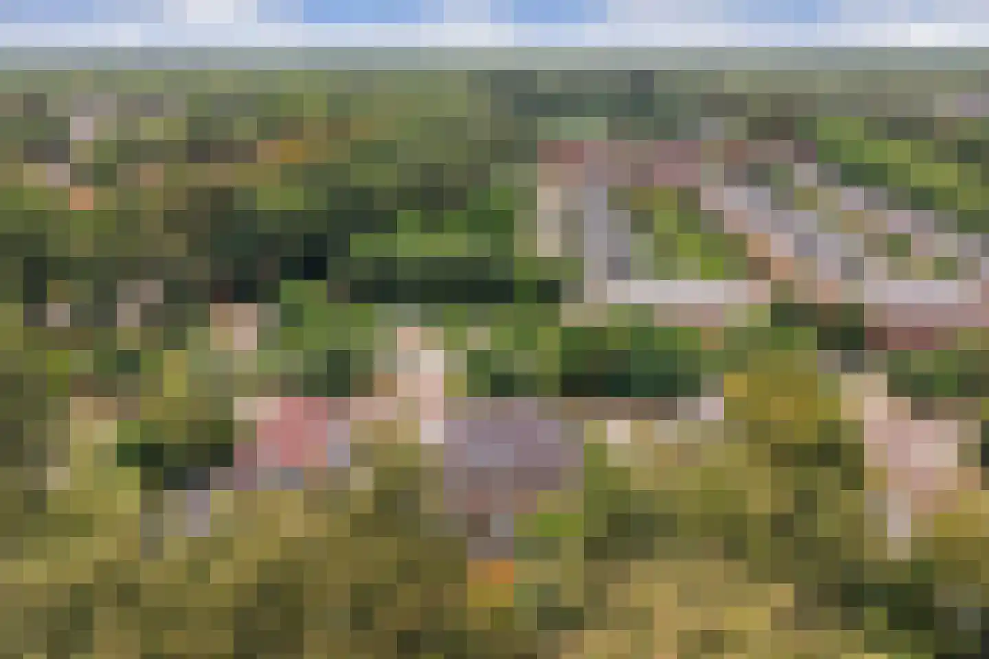 Sterrenberglaan 81 Huis ter Heide thumbnail 71