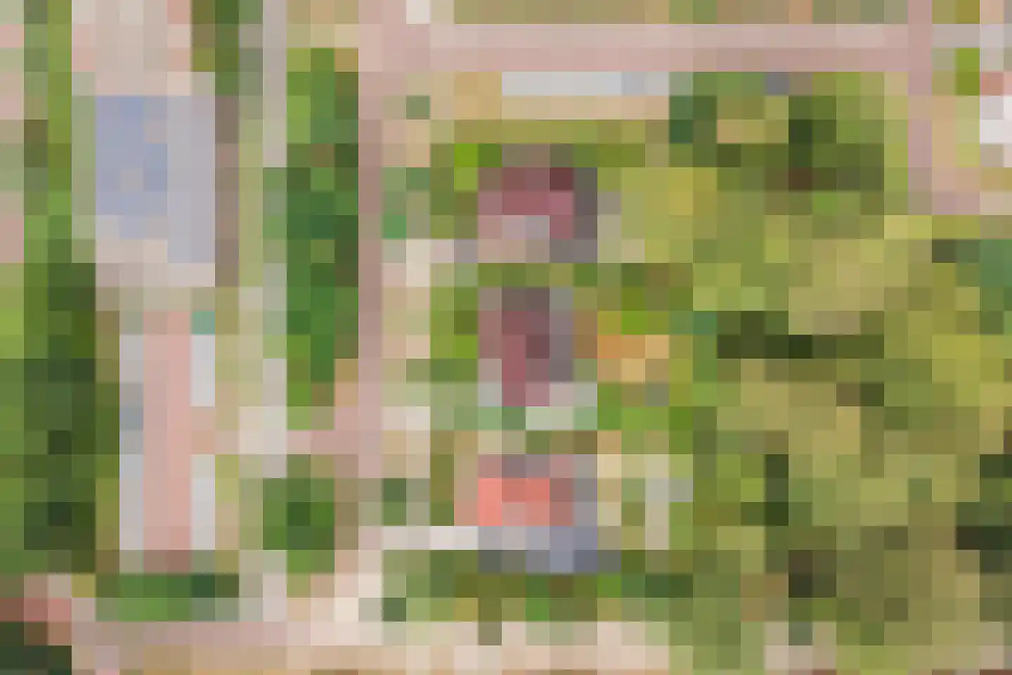 Sterrenberglaan 81 Huis ter Heide thumbnail 73