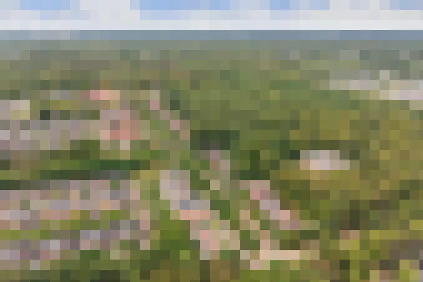 Sterrenberglaan 81 Huis ter Heide thumbnail 74