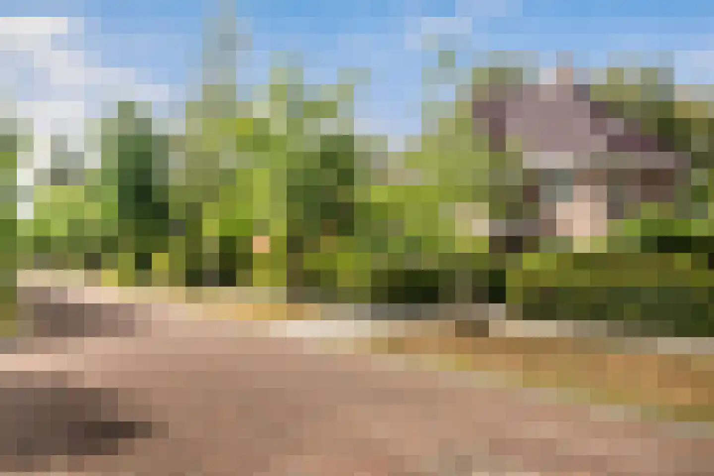 Sterrenberglaan 81 Huis ter Heide thumbnail 8