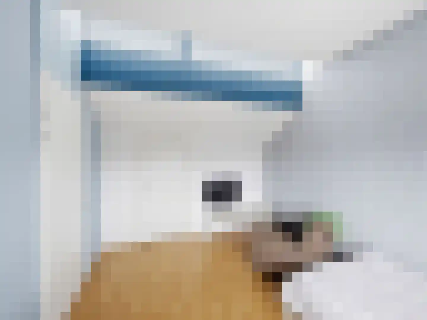 Sterrenblik 12 Zutphen thumbnail 26