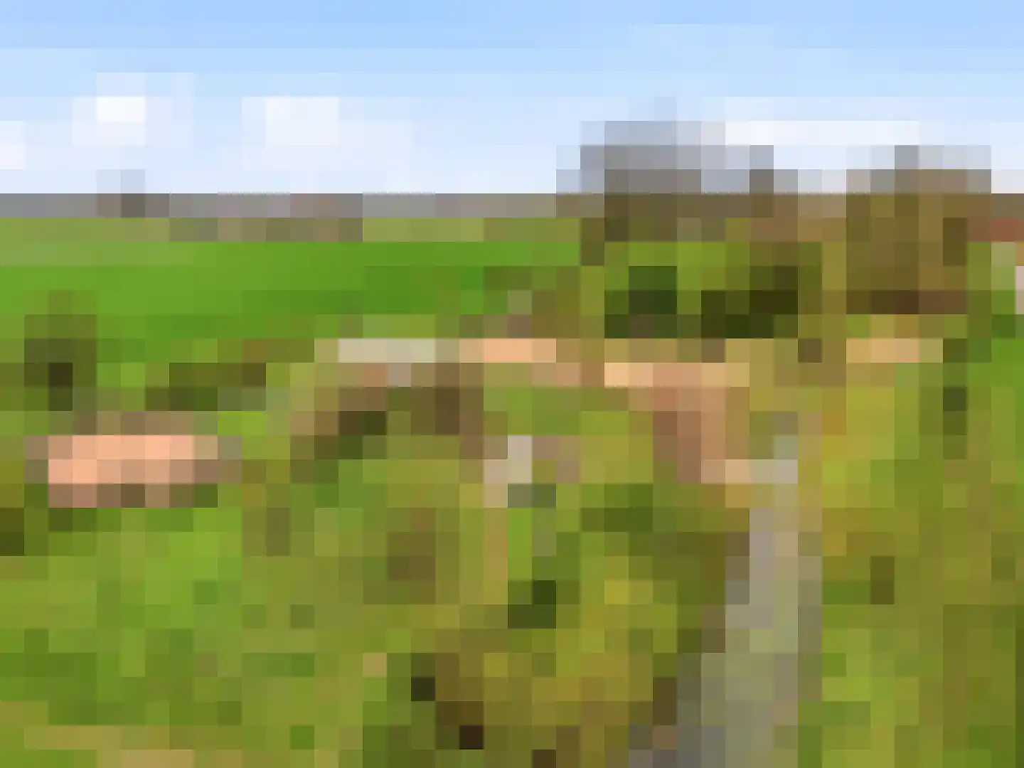 Sterrenblik 12 Zutphen thumbnail 36