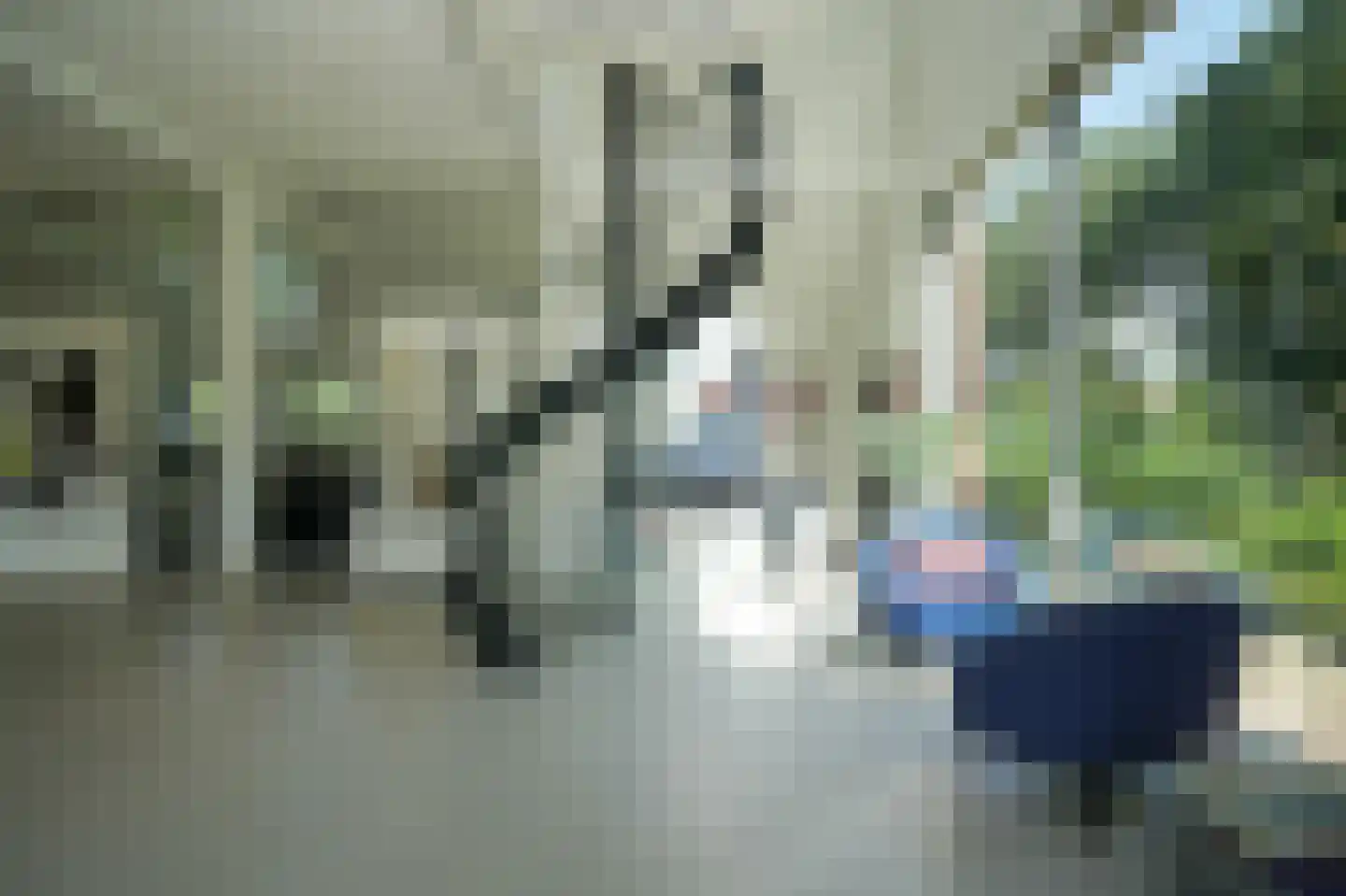Sterrenbos 1 Sint-Michielsgestel thumbnail 16